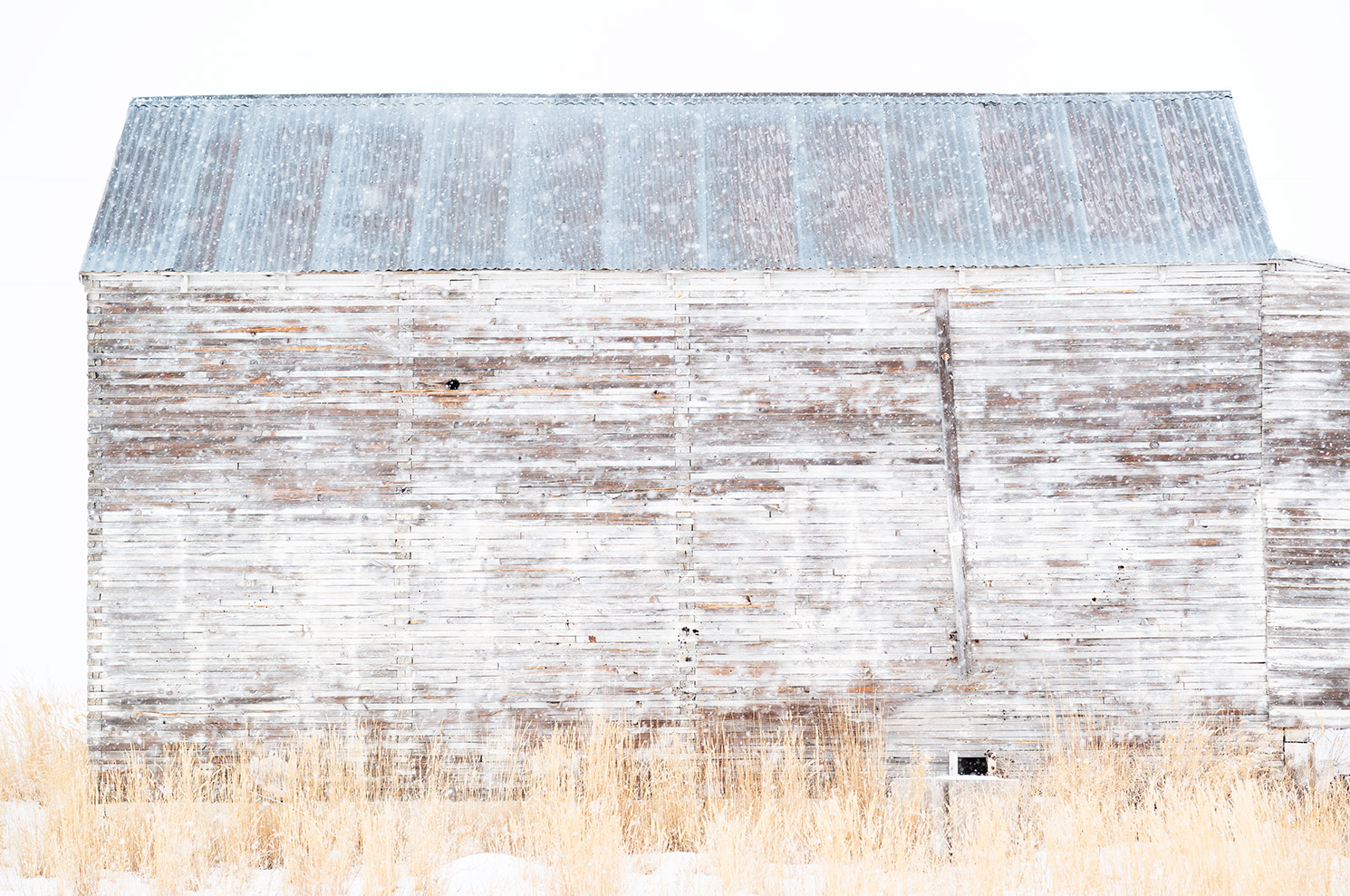 web_FINAL_Flattened_L1003821_White_Barn_VI-copy