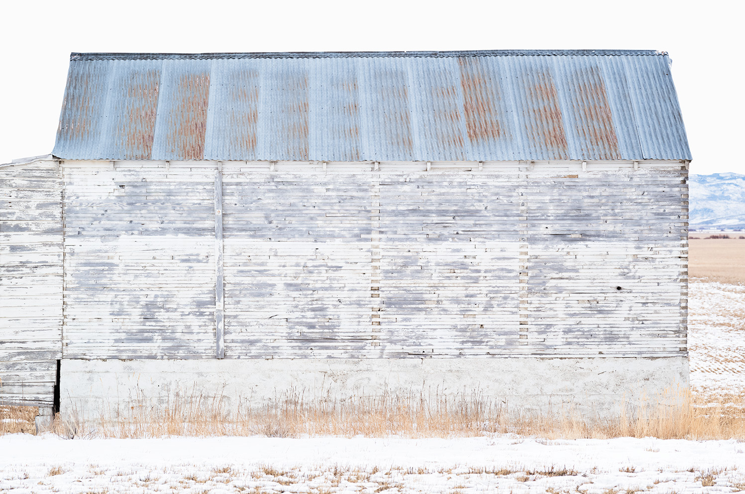 web_FINAL_Flattened_L1006449_White_Barn_II-copy
